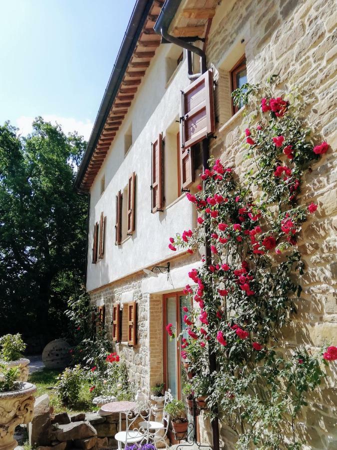 Le Ginestre Guesthouse Assisi Exterior foto